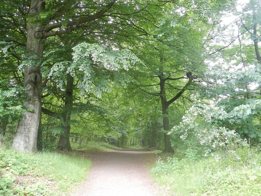 Excursie | Beleef het platteland in Winterswijk