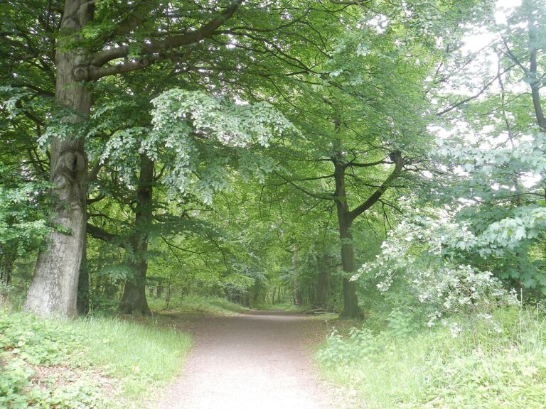 Excursie | Beleef het platteland — natuur in Winterswijk